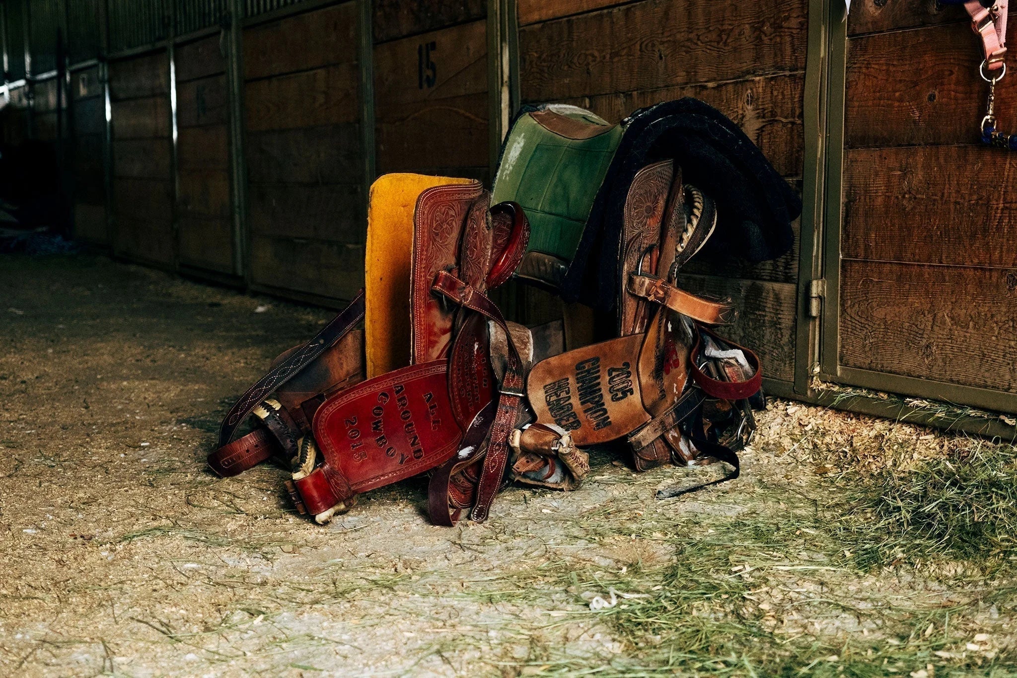 Excursion d'une journée : Que faire à Estes Park ? - Topo Designs - Europe