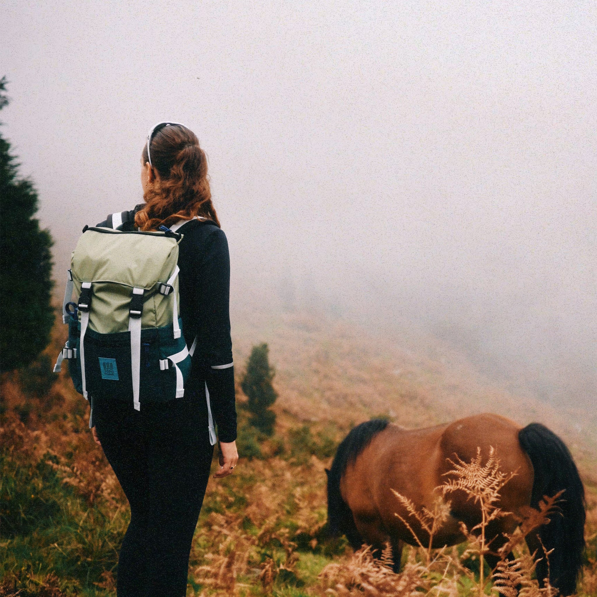 Rover Pack Classic 20L