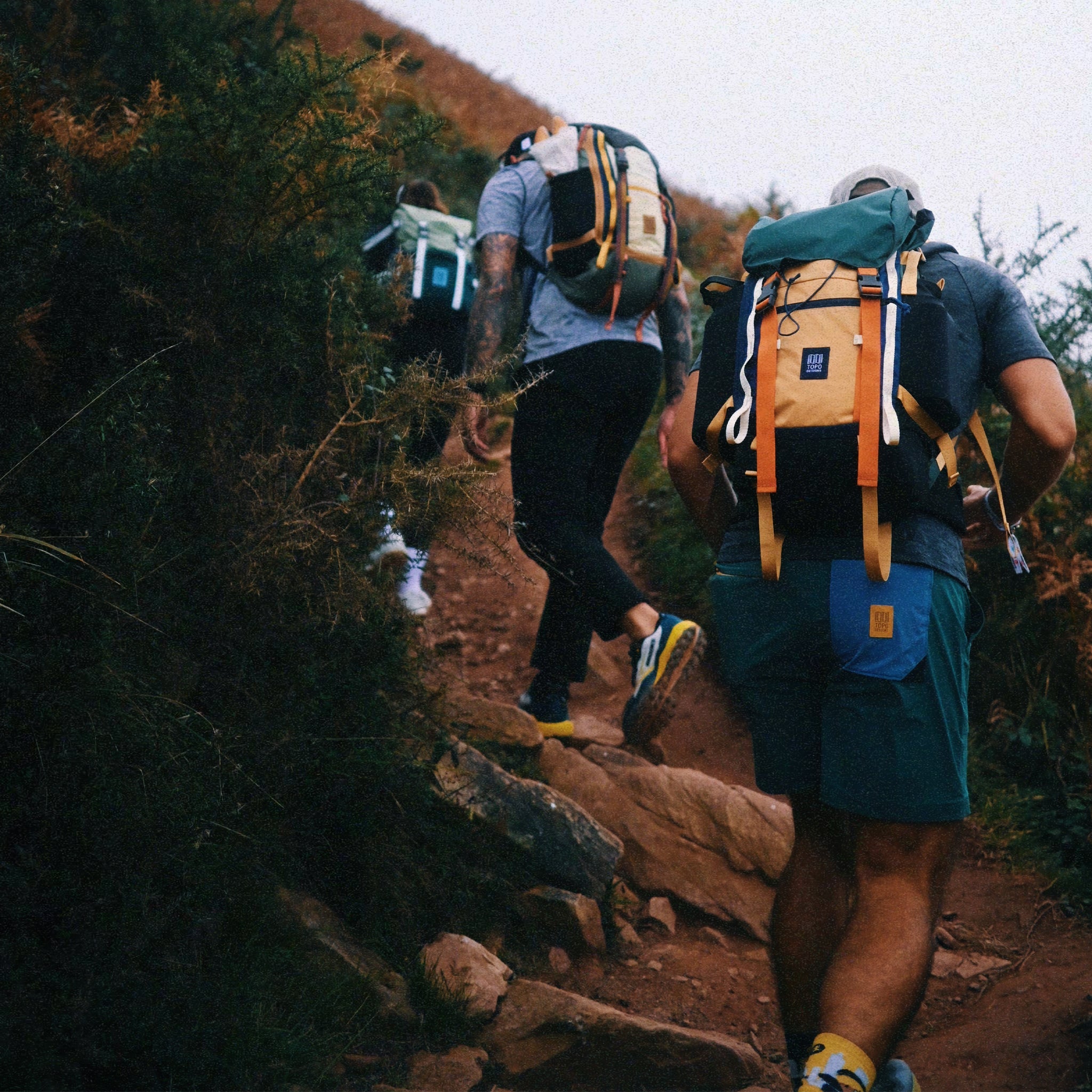 Rover Trail Pack 24 l vue 7 von Topo Designs