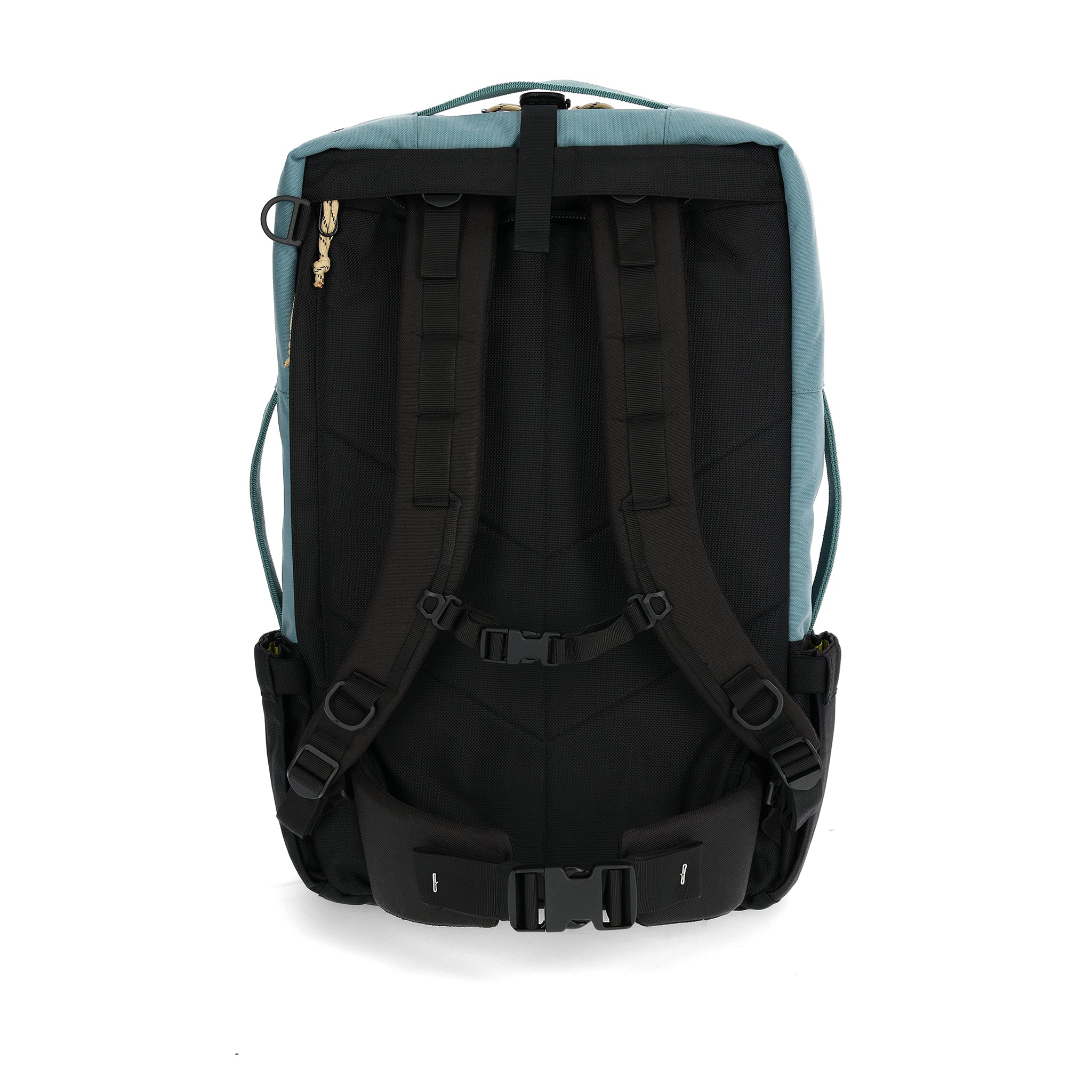 Rückansicht der Topo Designs Global Travel Bag 40L in "Sea Pine"