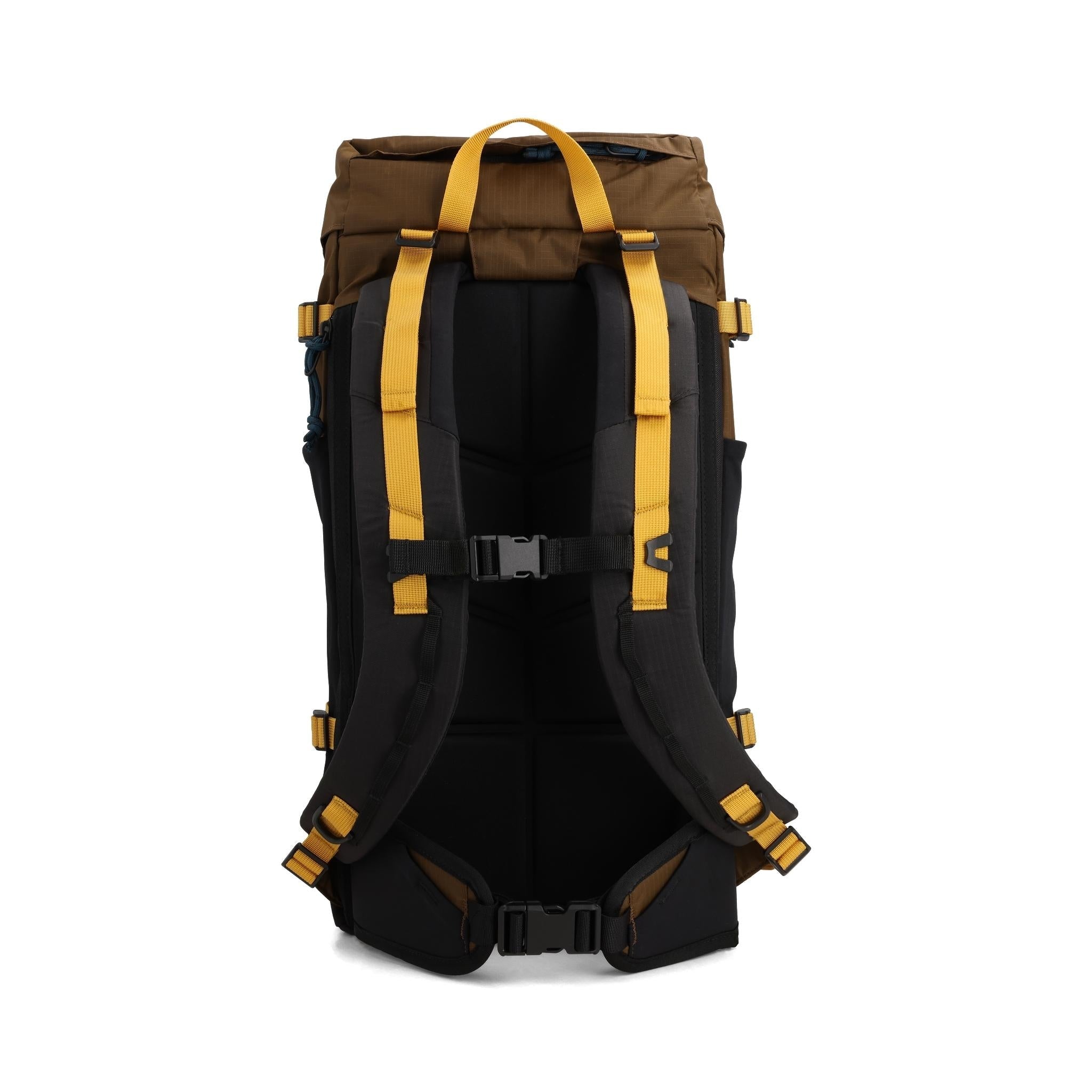 Rückansicht des Topo Designs Rover Trail Pack 22L in "Desert Palm / Sahara"